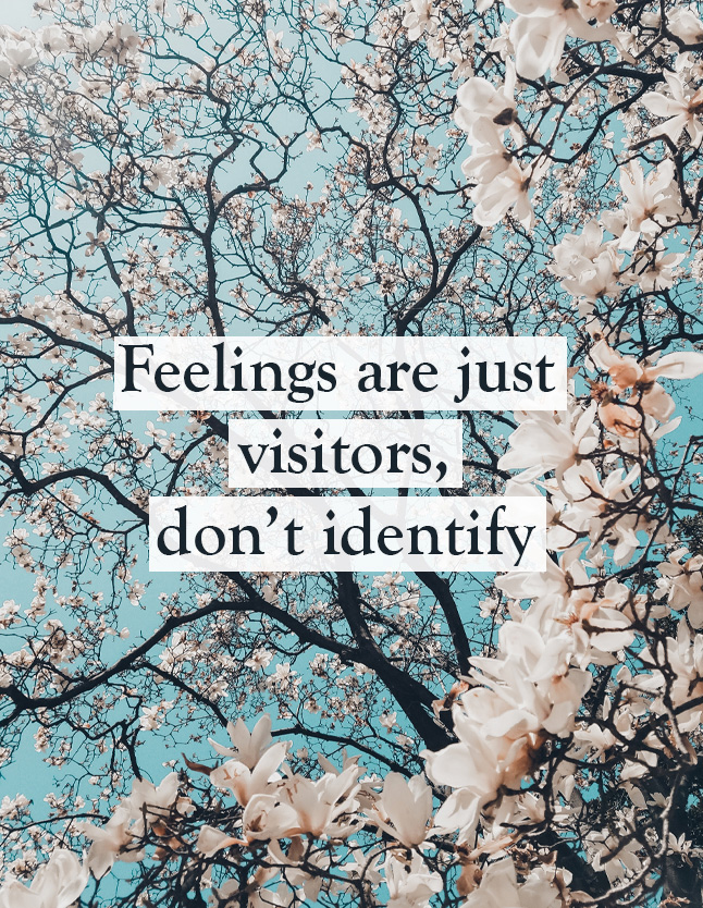 Feelins-are-just-visitors
